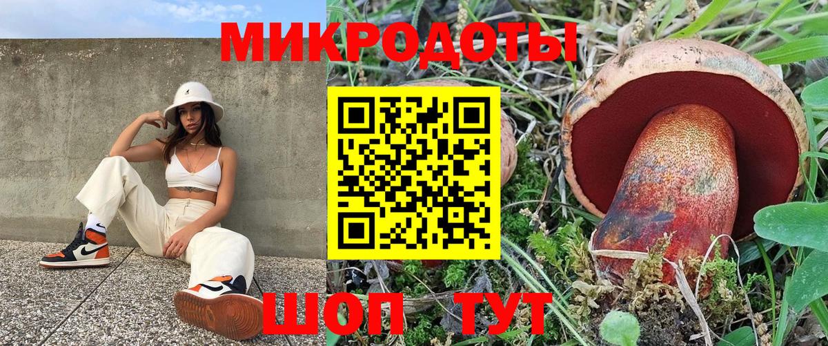 Галлюциногенные грибы GOLDEN TEACHER  Псилоцибиновые грибы GOLDEN TEACHER  Вход с VPN  Усолье-Сибирское 
